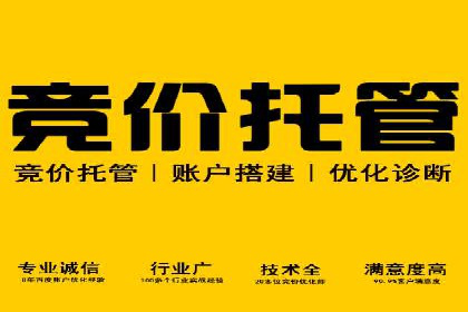 案例分析：SEM推广助力品牌知名度